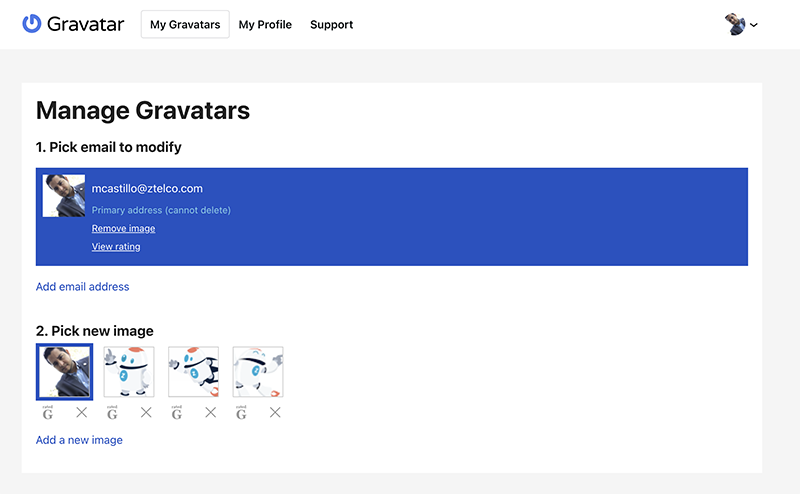 Updating profile image or avatar using Gravatar